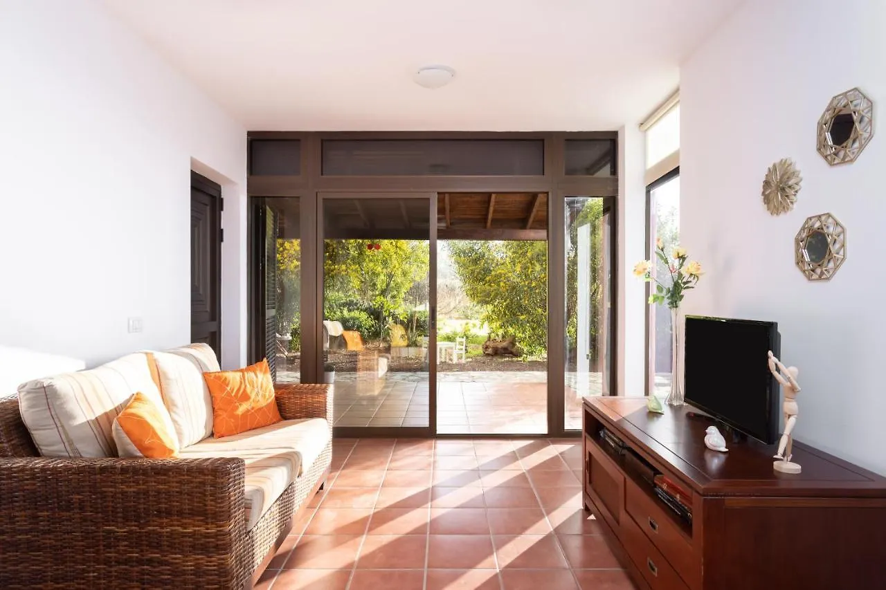 Holiday home Home2Book Amazing Teide View & Terrace Sauzal Spain