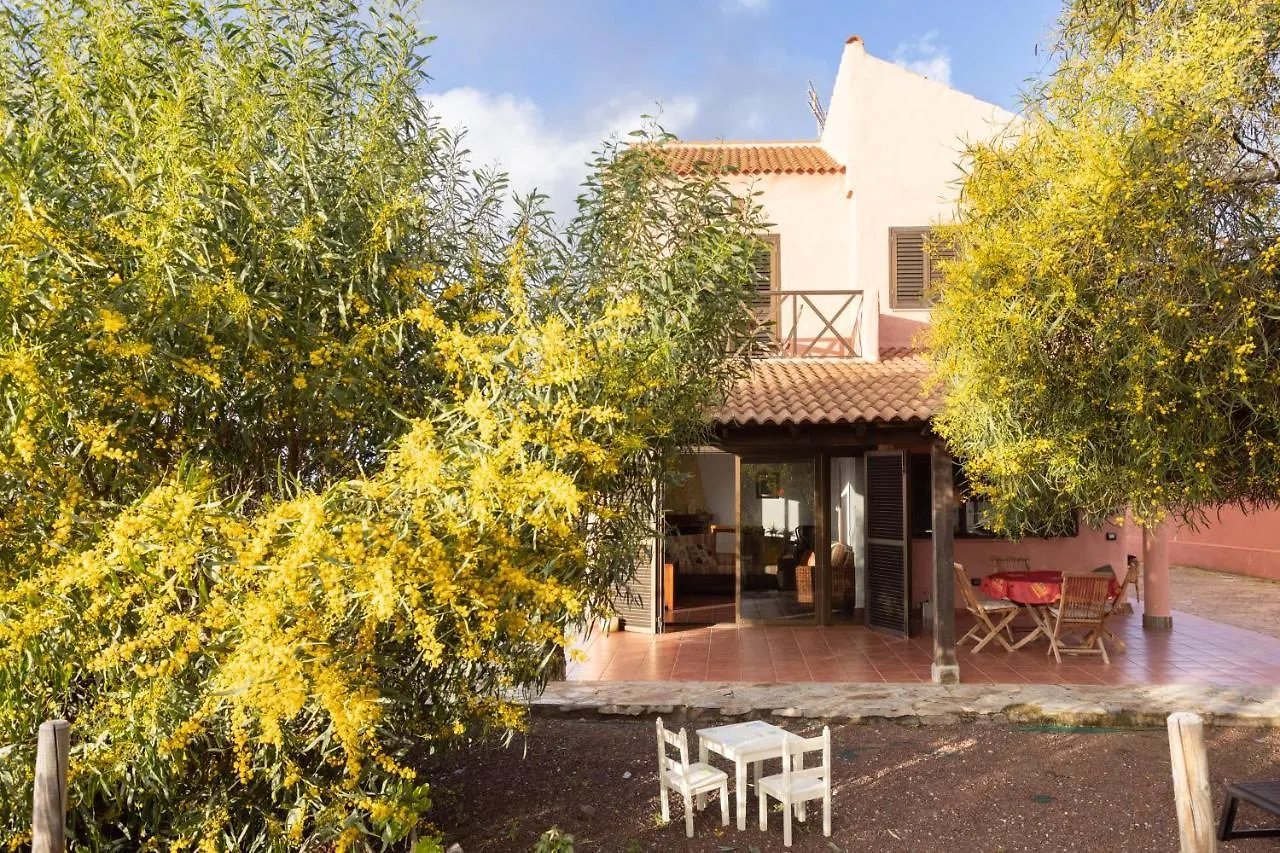 Home2Book Amazing Teide View & Terrace Sauzal