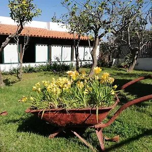 Сasa de vacaciones Limón Y Sol, El Sauzal