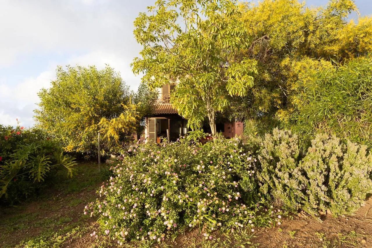 Holiday home Home2Book Amazing Teide View & Terrace Sauzal