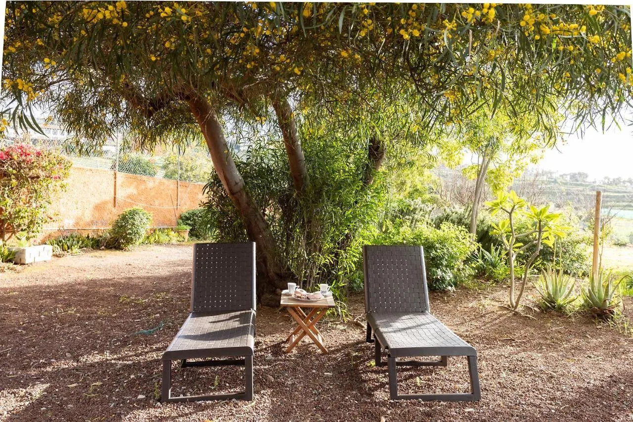 Holiday home Home2Book Amazing Teide View & Terrace Sauzal